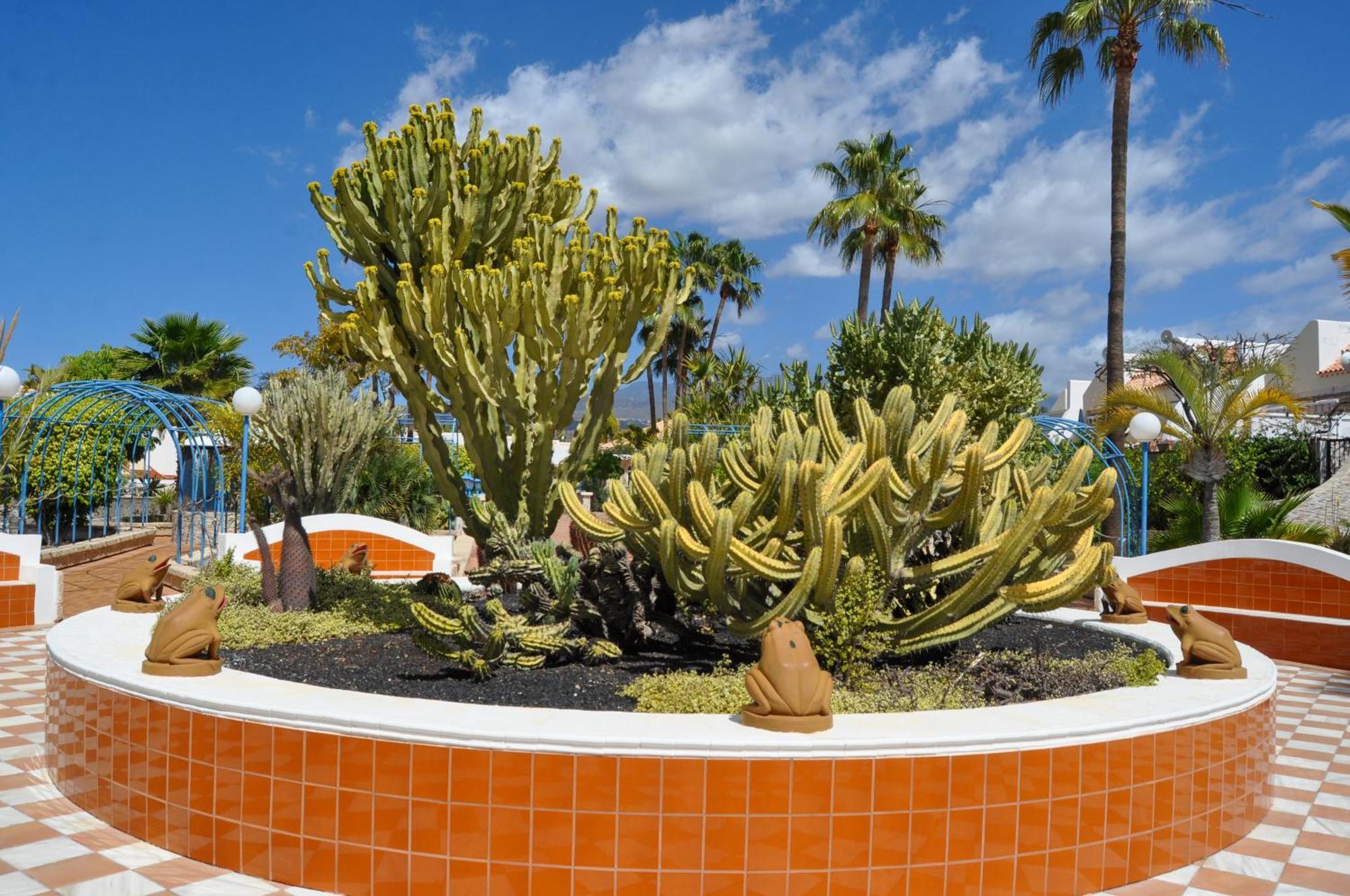 Apartament The Palms Golf Del Sur - Casa Andromeda San Miguel de Abona Zewnętrze zdjęcie